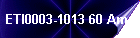 ETI0003-1013 60 Amp